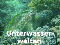 Unterwasserwelten